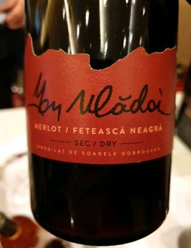 Vin Ion Vladoi Merlot Feteasca Neagra