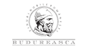 brand budureasca