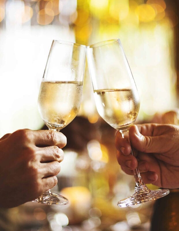 La Gioiosa Prosecco DOC Treviso Spumante